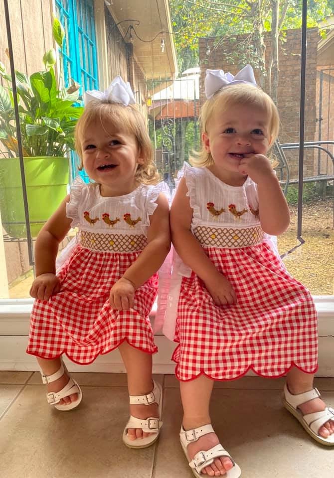 Red Gingham Knit Chickens Dress