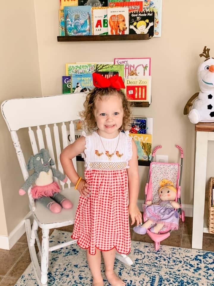 Red Gingham Knit Chickens Dress